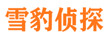 雁江市侦探调查公司